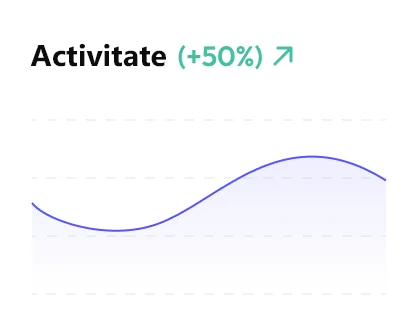 Seodum.ro - Activitate