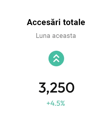 Rapoarte Analiza SEO