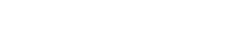 Brand Guidelines 2 Inverted Logo (Light)